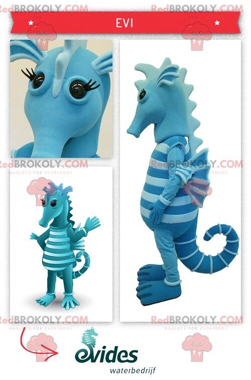 Two-tone blue seahorse REDBROKOLY mascot , REDBROKO__0291