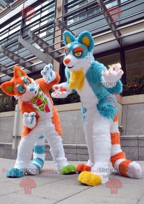 Couple of blue and orange cat REDBROKOLY mascots , REDBROKO__0443