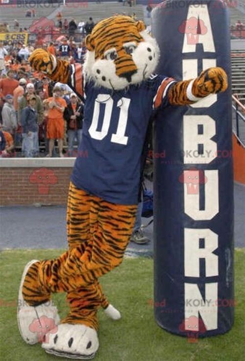 Orange and black tiger REDBROKOLY mascot with a blue jersey , REDBROKO__0447