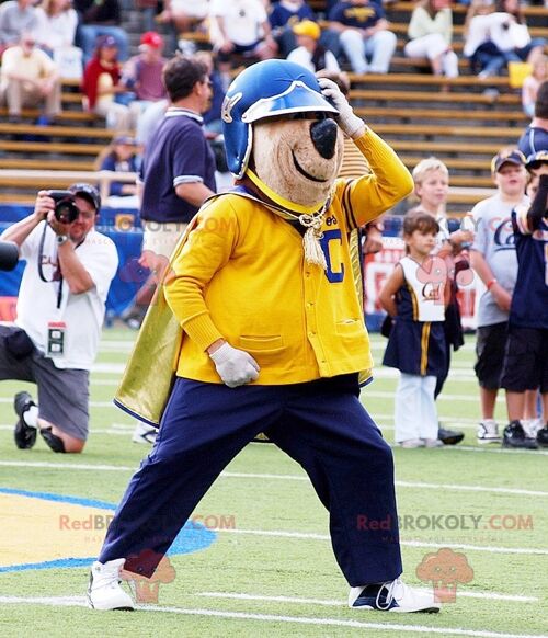 Brown bear REDBROKOLY mascot in yellow and blue outfit , REDBROKO__0451