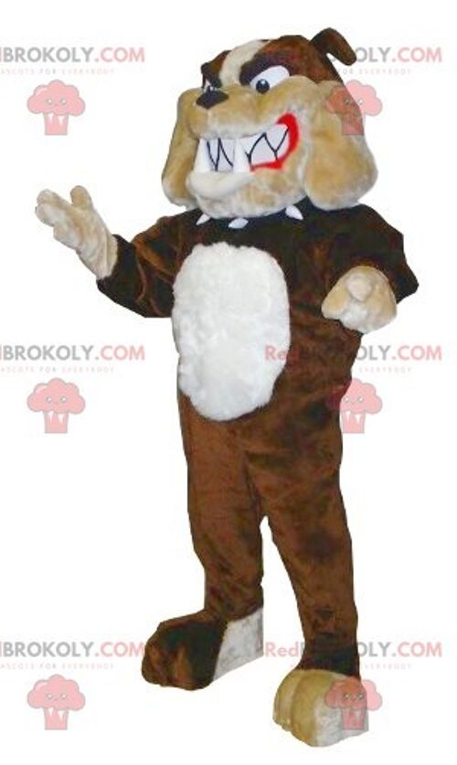 Brown beige and white bulldog REDBROKOLY mascot , REDBROKO__0460