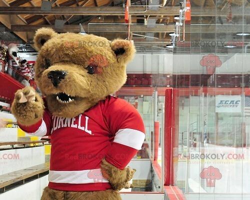 Brown bear REDBROKOLY mascot with a red and white sweater , REDBROKO__0477