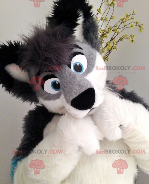 Gray black and blue hairy dog REDBROKOLY mascot , REDBROKO__0523