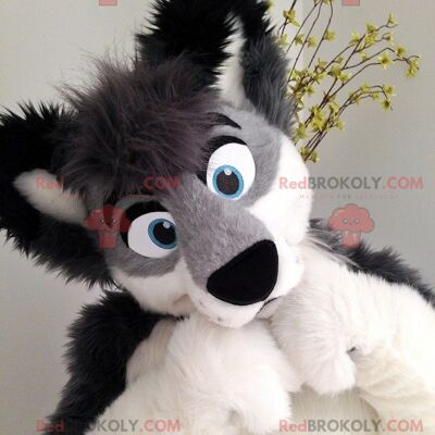 Gray black and blue hairy dog REDBROKOLY mascot , REDBROKO__0523