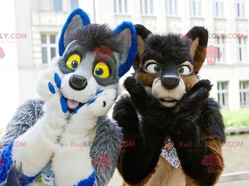 2 furry and colorful dog REDBROKOLY mascots , REDBROKO__0589