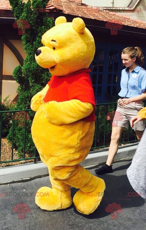 Winnie the Pooh REDBROKOLY mascot famous cartoon bear , REDBROKO__0746