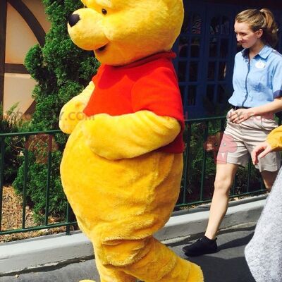 Winnie the Pooh REDBROKOLY mascot famous cartoon bear , REDBROKO__0746