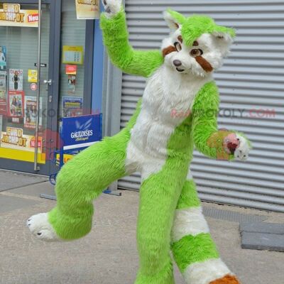 Grüne, weiße und orange Waschbärkatze REDBROKOLY Maskottchen, REDBROKO__0751