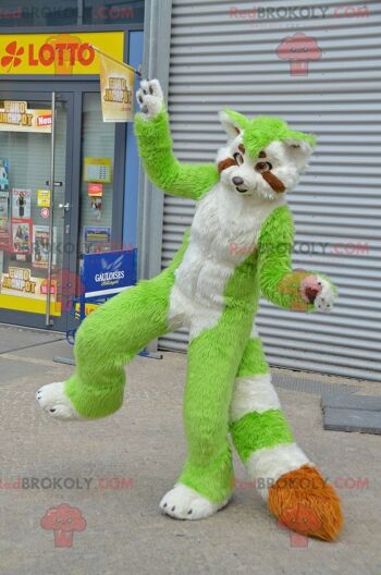 Mascotte de chat raton laveur vert, blanc et orange REDBROKOLY, REDBROKO__0751