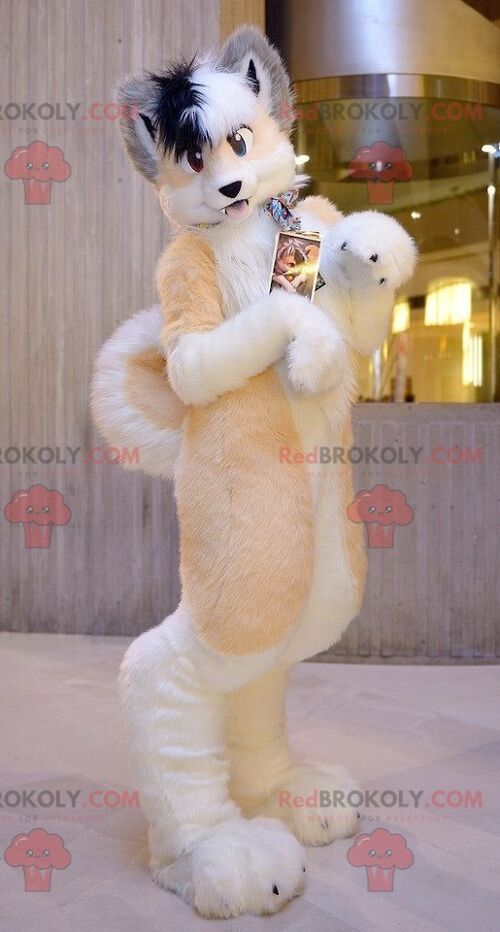 Very hairy orange white and gray dog REDBROKOLY mascot , REDBROKO__0812
