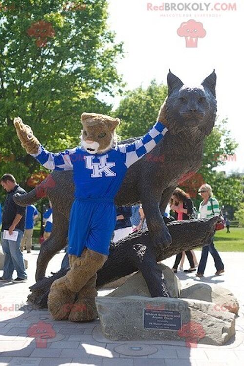 Brown and white tiger REDBROKOLY mascot in blue outfit , REDBROKO__0843