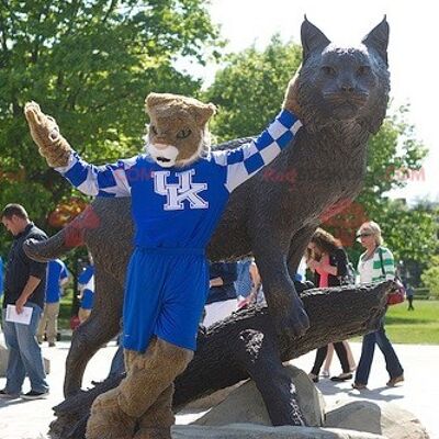 Brown and white tiger REDBROKOLY mascot in blue outfit , REDBROKO__0843