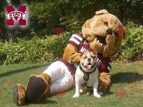 Brown bulldog REDBROKOLY mascot in sportswear , REDBROKO__0882