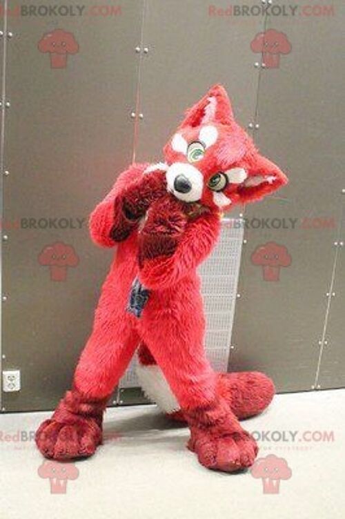 Red fox dog REDBROKOLY mascot , REDBROKO__0908