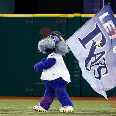 Team Rays REDBROKOLY mascot blue and gray dog all hairy , REDBROKO__01000