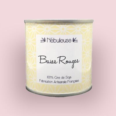 Paint Pot Candle - Red Berries - 100g