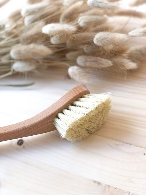 Brosse vaisselle en bois