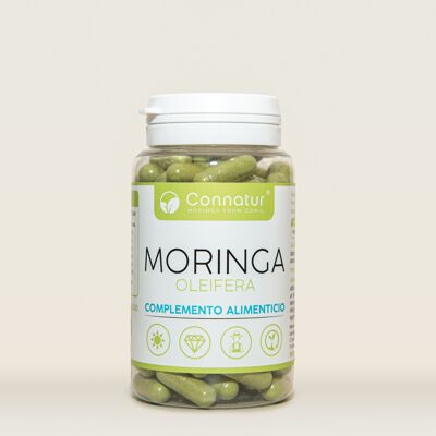 Connatur Moringa From Conil