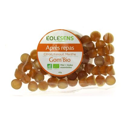 Gomme Dopo Pasto - In bustina