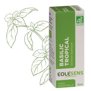 Huile essentielle bio basilic tropical