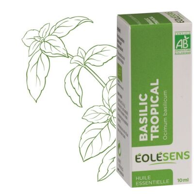 Aceite esencial orgánico de albahaca tropical