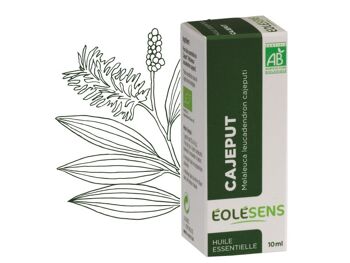 Huile essentielle bio cajeput