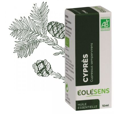 Cypress organic essential oil