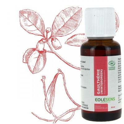 Aceite esencial orgánico de gaulteria (gaulteria) - 30ml