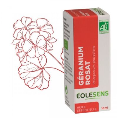 Rose geranium organic essential oil