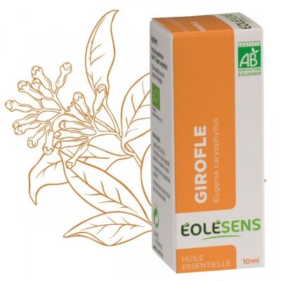 Huile essentielle bio girofle (clou)