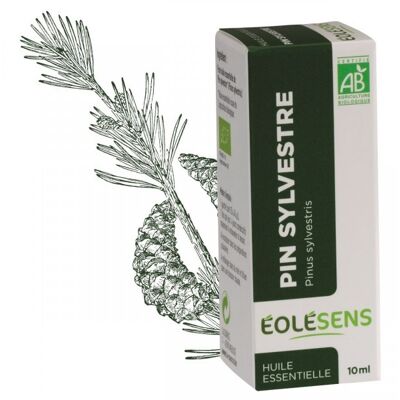 Olio essenziale di pino silvestre biologico