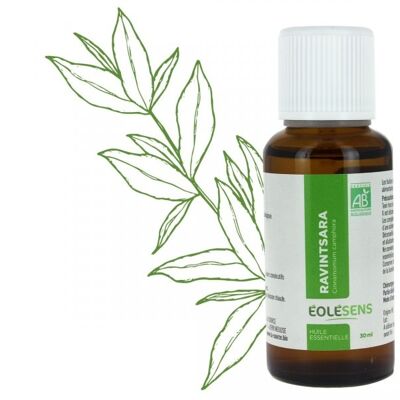 Aceite esencial orgánico Ravinstara - 30ml