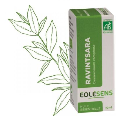 Ravintsara organic essential oil