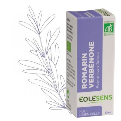 Rosemary verbenone organic essential oil