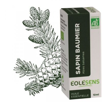 Organic balsam fir essential oil