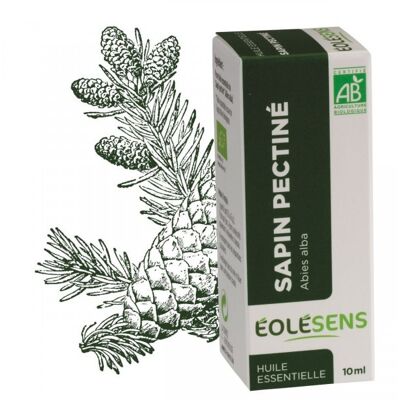 Organic silver fir essential oil