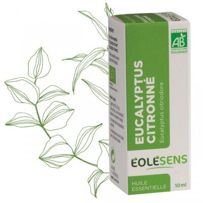 Lemon eucalyptus organic essential oil