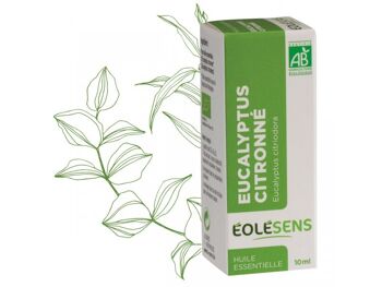 Huile essentielle bio eucalyptus citronné