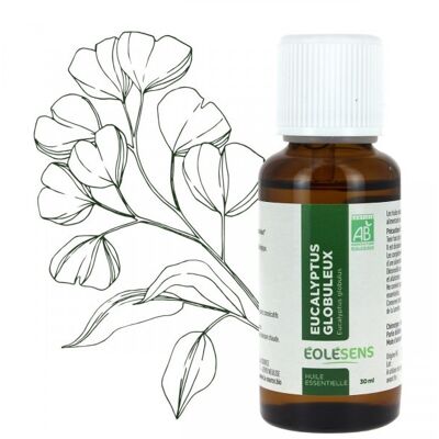 Aceite esencial orgánico de eucalipto globuloso - 30ml
