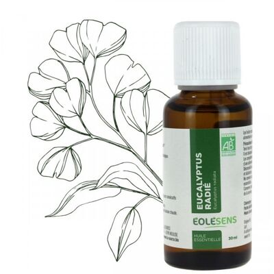 Organic eucalyptus essential oil - 30ml