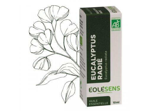 Buy wholesale Organic eucalyptus essential oil