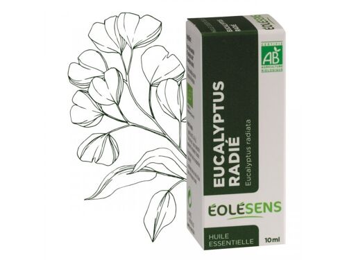 Huile essentielle bio eucalyptus radié