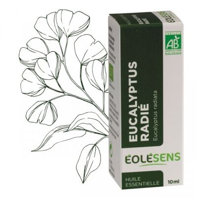 Organic eucalyptus essential oil