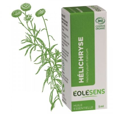Helichrysum organic essential oil