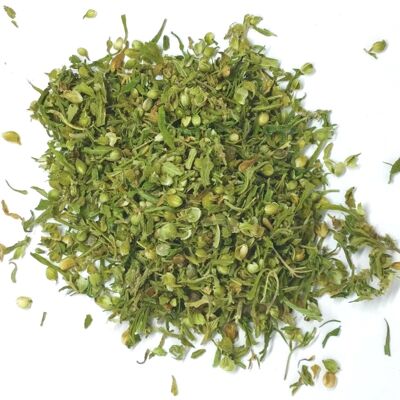Biodynamic hemp herbal tea