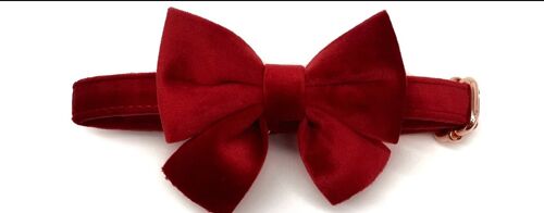 Luxury Velvet Collar and Bow Tie