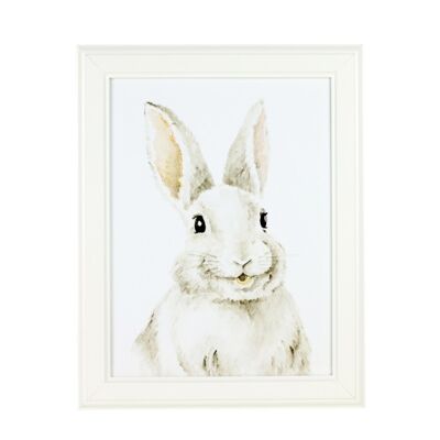 Image Rabbit