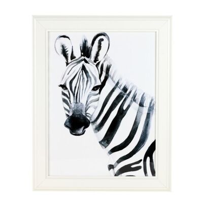 Immagine Zebra