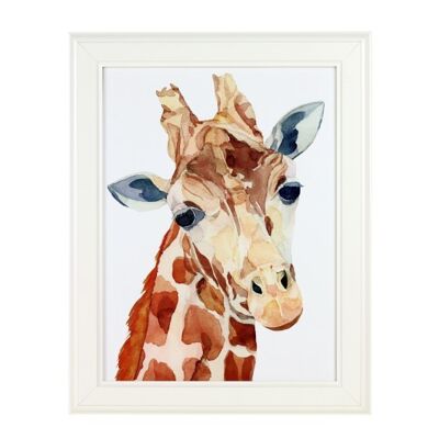 Bild-Giraffe