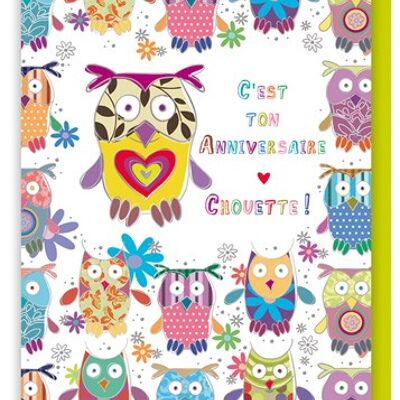 C'est ton anniversaire! Chouette! (SKU: 2639FR)